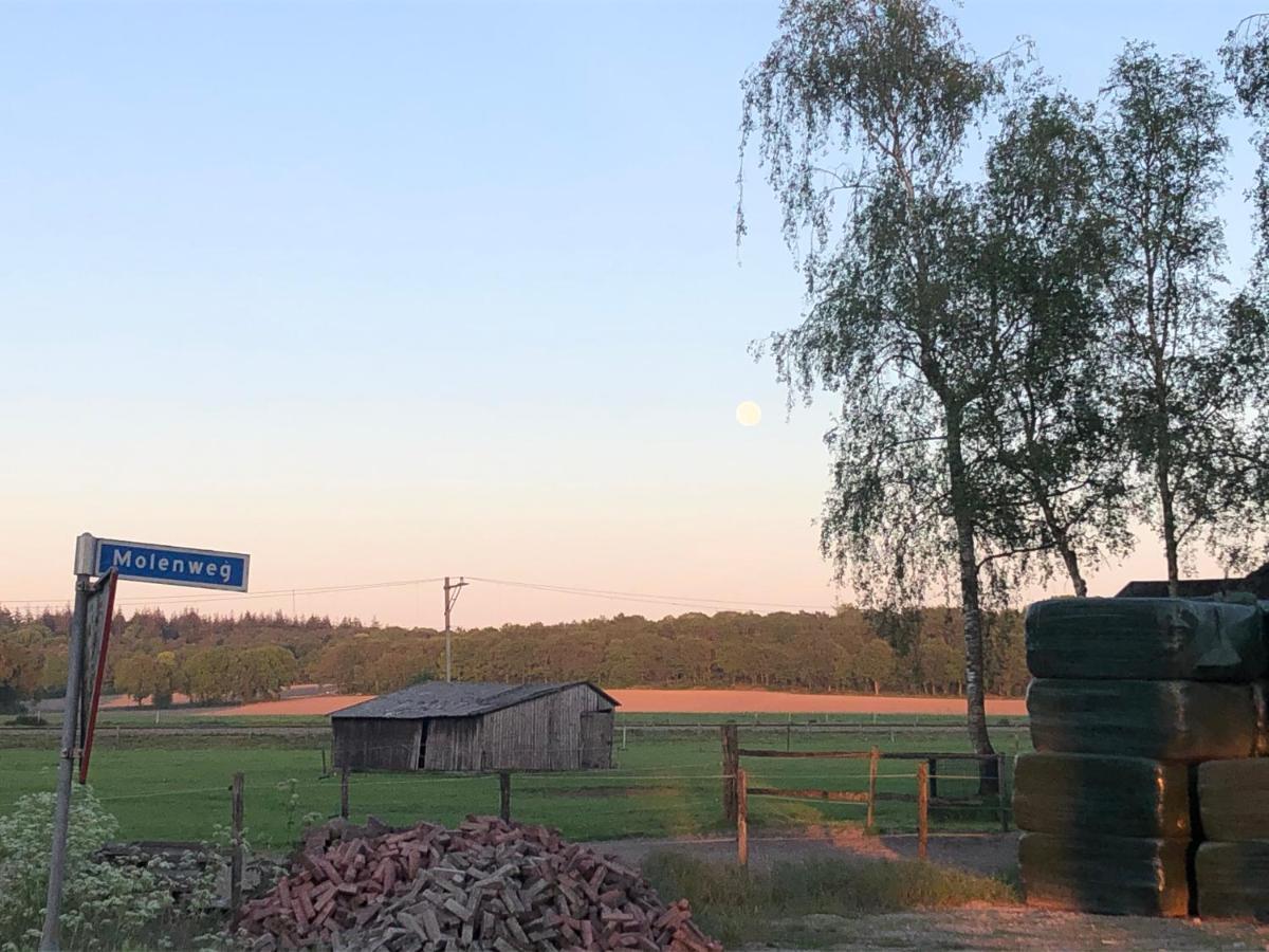 Bed and Breakfast De Gouden Wilg Lunteren Esterno foto